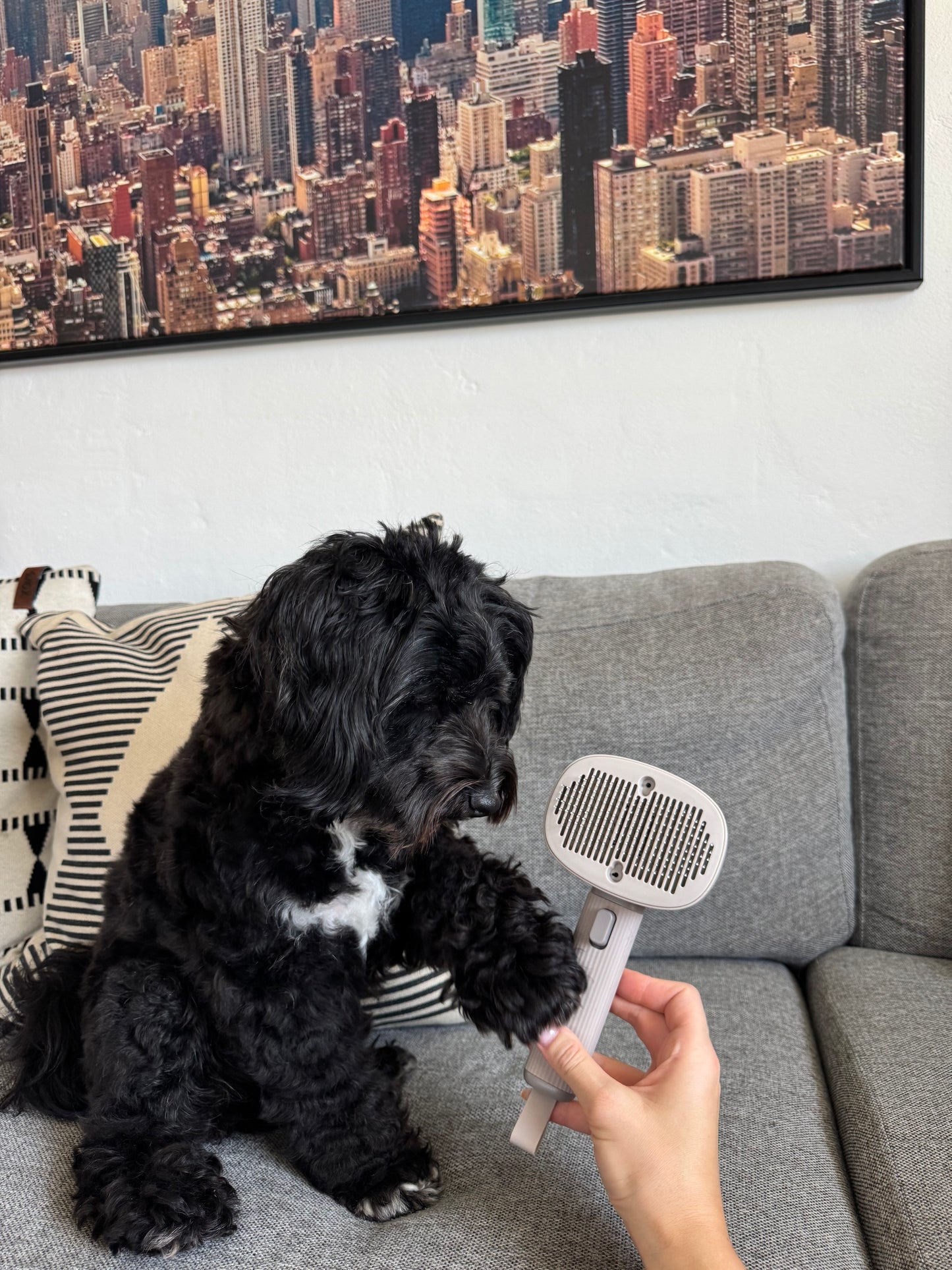 HappyFur Hunde Børste